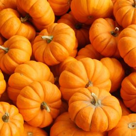 TẠI SAO BÍ ĐỎ LÀ THÀNH PHẦN CHÍNH CỦA DÒNG TRẺ HÓA DA SHINY PUMPKIN PEEL